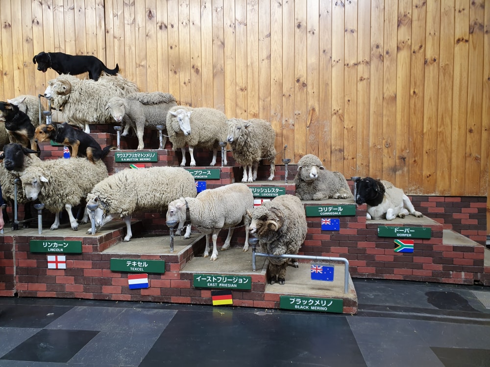 マザー牧場の写真4