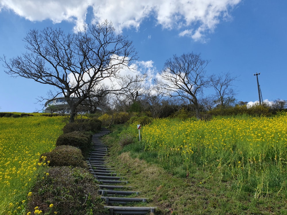 マザー牧場の写真7