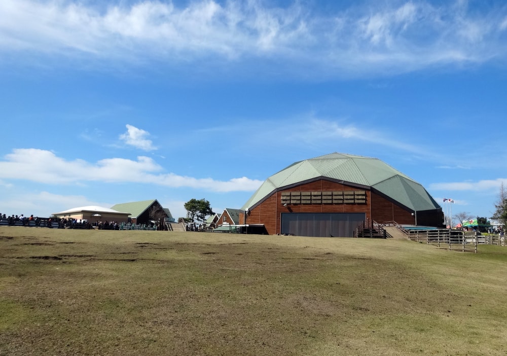 マザー牧場の写真9