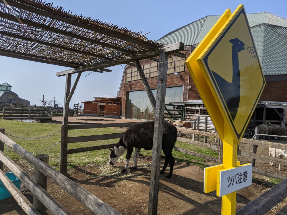 マザー牧場の写真10