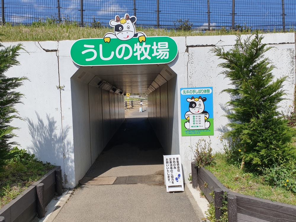 マザー牧場の写真12