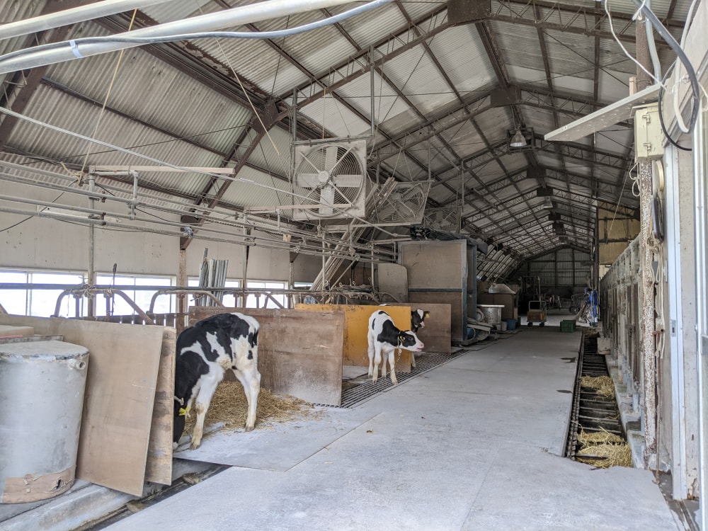 マザー牧場の写真14