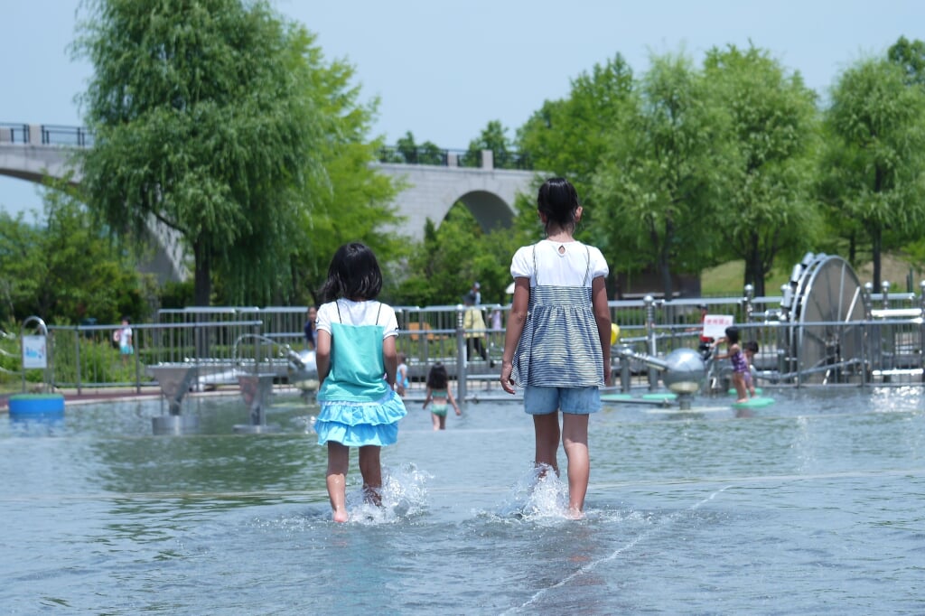 国営越後丘陵公園の写真3