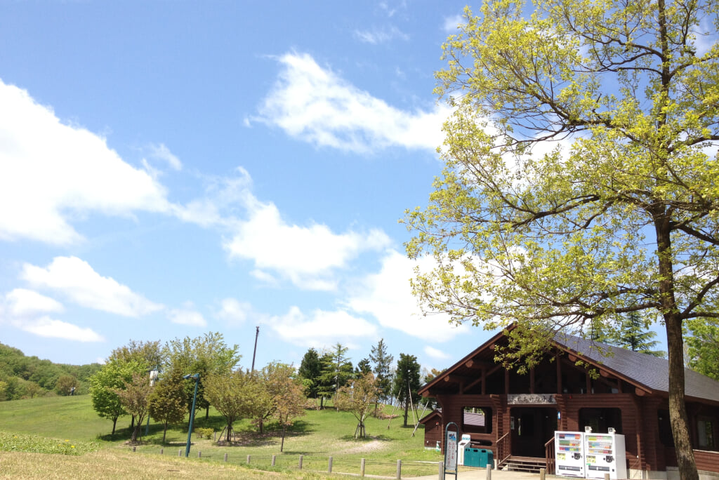 国営越後丘陵公園の写真7