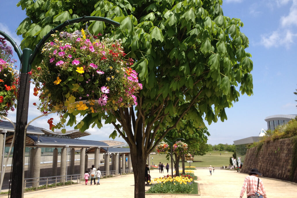 国営越後丘陵公園の写真10