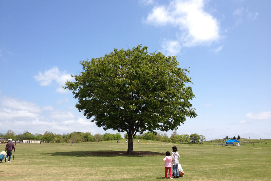 国営越後丘陵公園の写真12