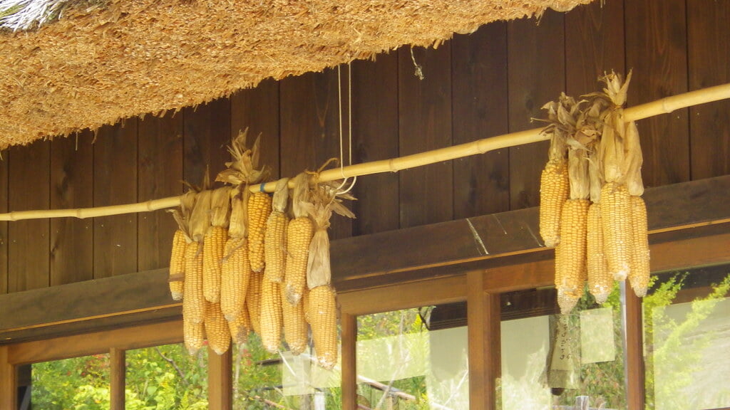 西湖いやしの里根場の写真4