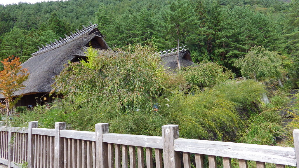 西湖いやしの里根場の写真12