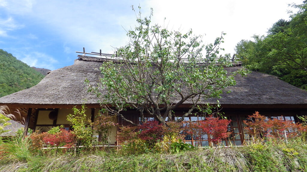 西湖いやしの里根場の写真14