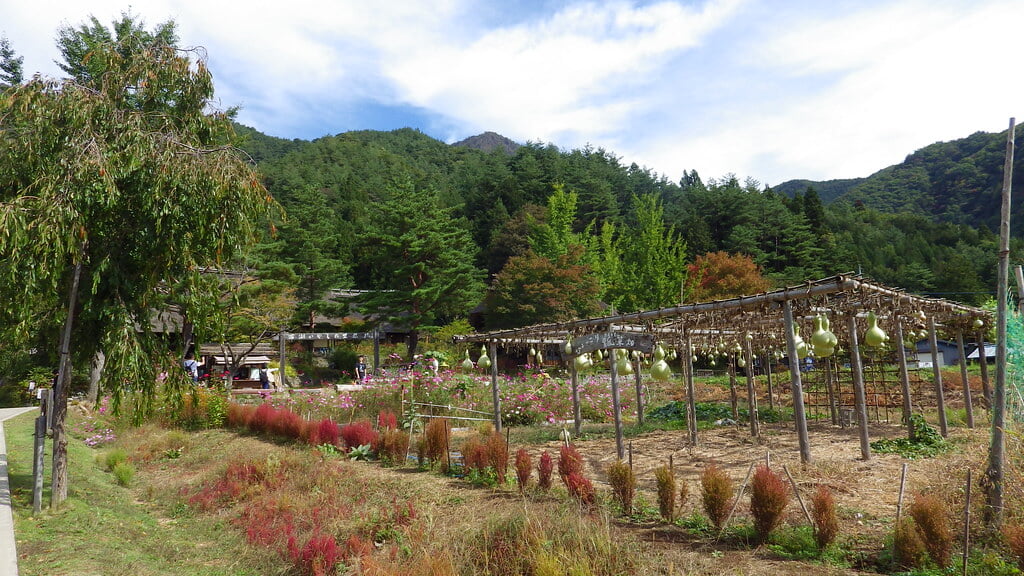西湖いやしの里根場の写真17