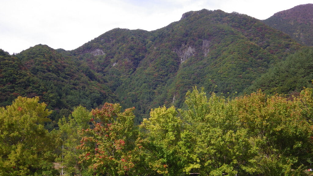 西湖いやしの里根場の写真18