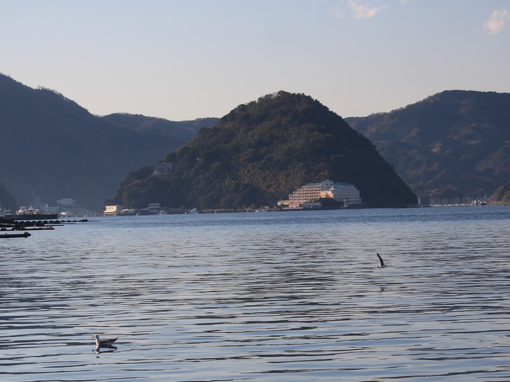 あわしまマリンパークの写真3