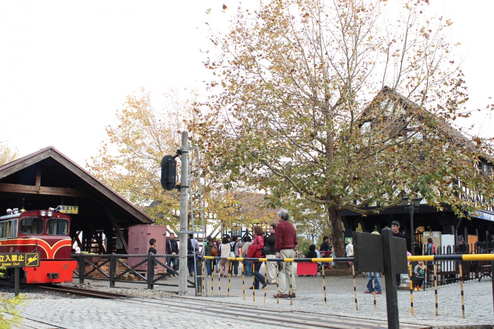 修善寺虹の郷の写真2