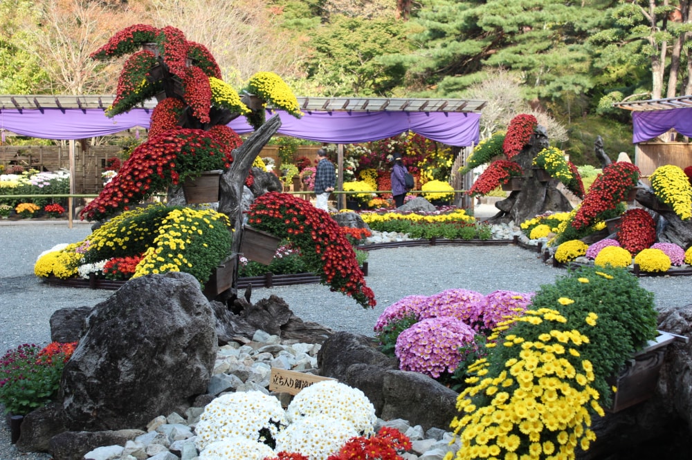 修善寺虹の郷の写真4