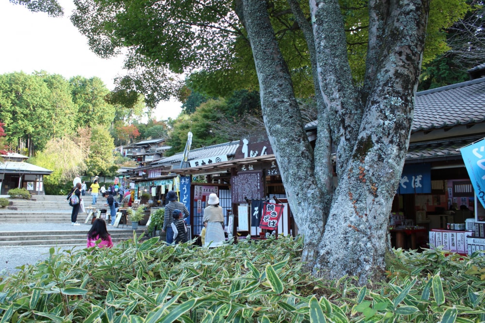 修善寺虹の郷の写真8