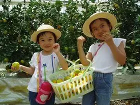 はままつフルーツパーク 時之栖(浜松フルーツパーク)の写真1