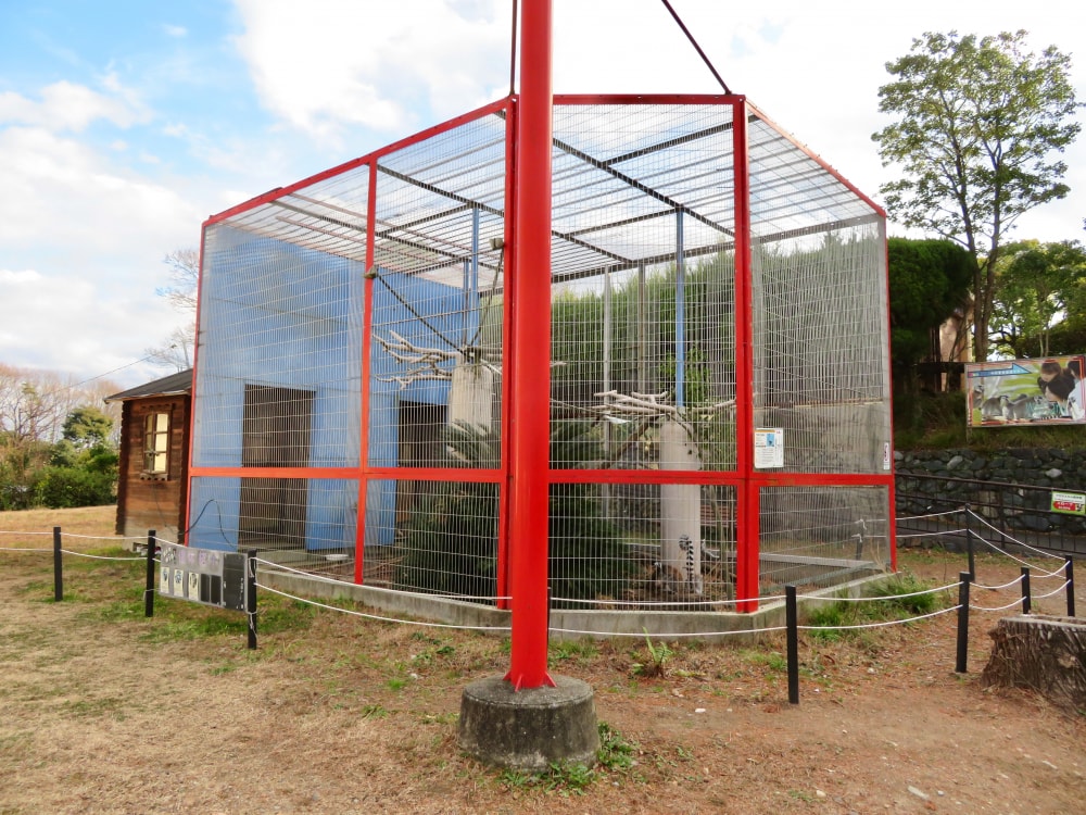 日本モンキーパークの写真5