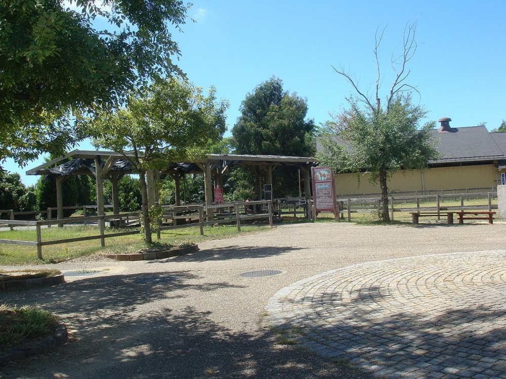 淡路ファームパーク イングランドの丘の写真2