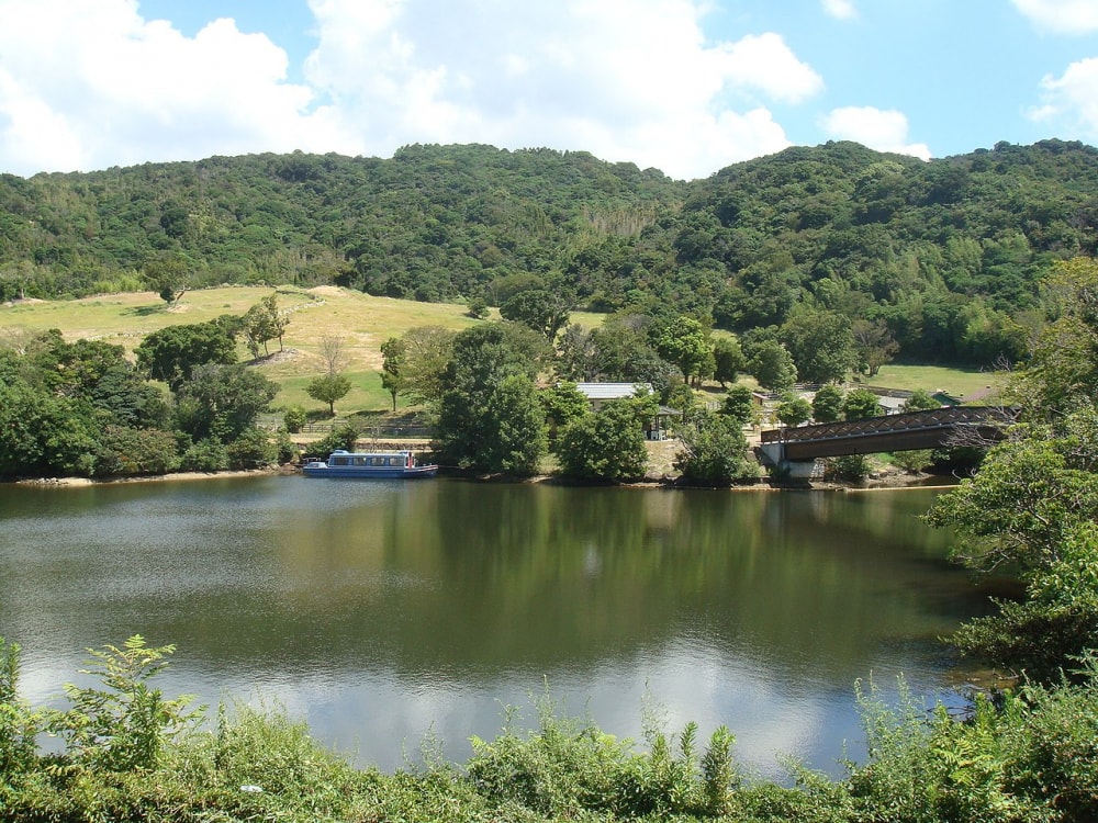 淡路ファームパーク イングランドの丘の写真7