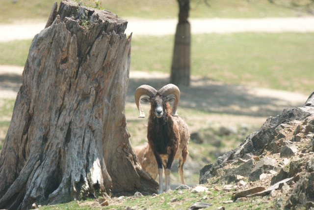姫路セントラルパークの写真2