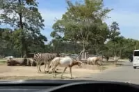 姫路セントラルパーク