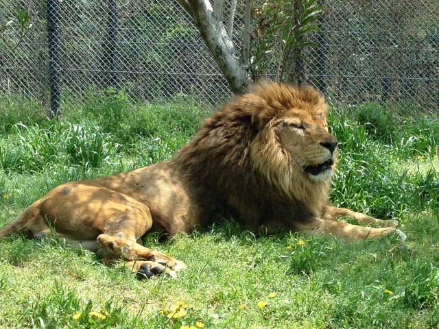 姫路セントラルパークの写真3