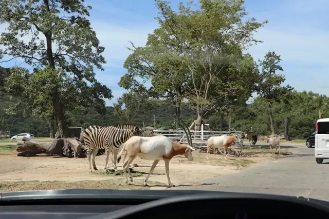 姫路セントラルパークの写真1