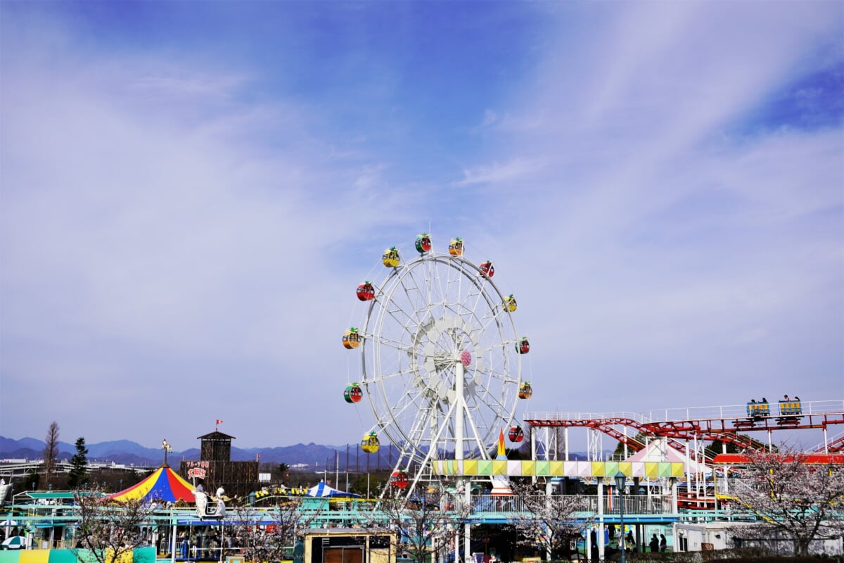 神戸フルーツ フラワーパーク／神戸おとぎの国の写真17