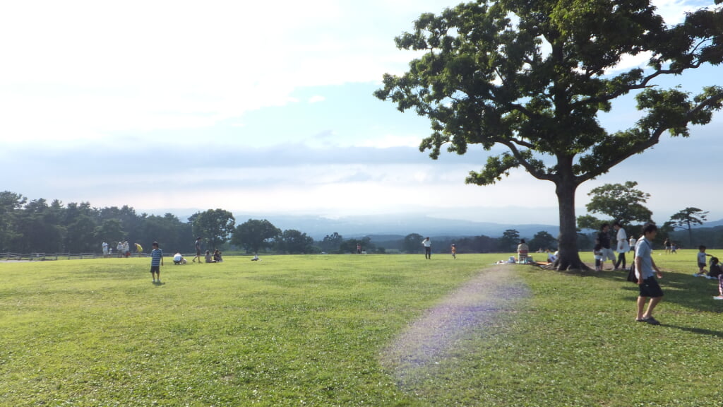 大山まきば みるくの里の写真2