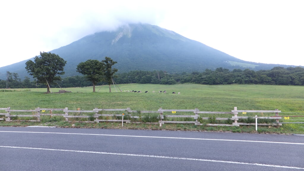 大山まきば みるくの里の写真7