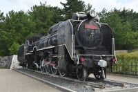 鳥取砂丘こどもの国