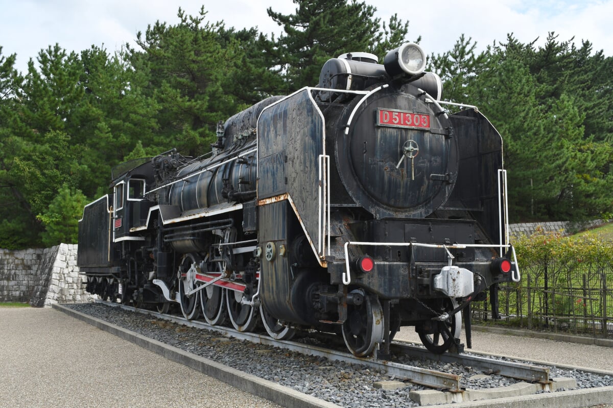 鳥取砂丘こどもの国の写真1