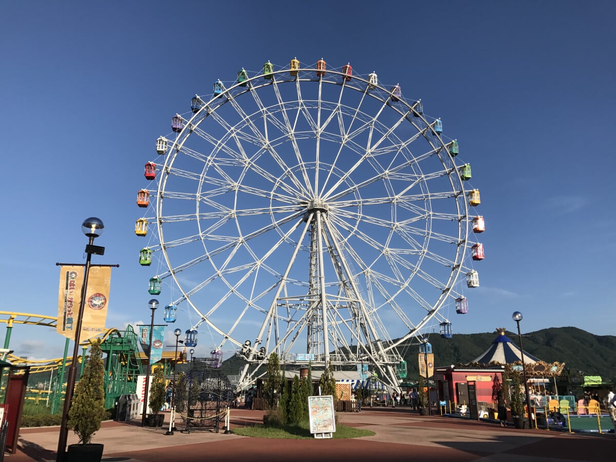 はい!からっと横丁の写真3