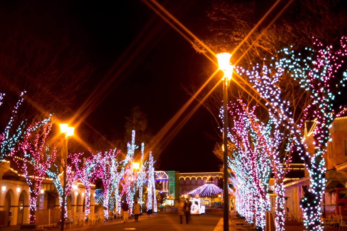 NEWレオマワールドの写真3