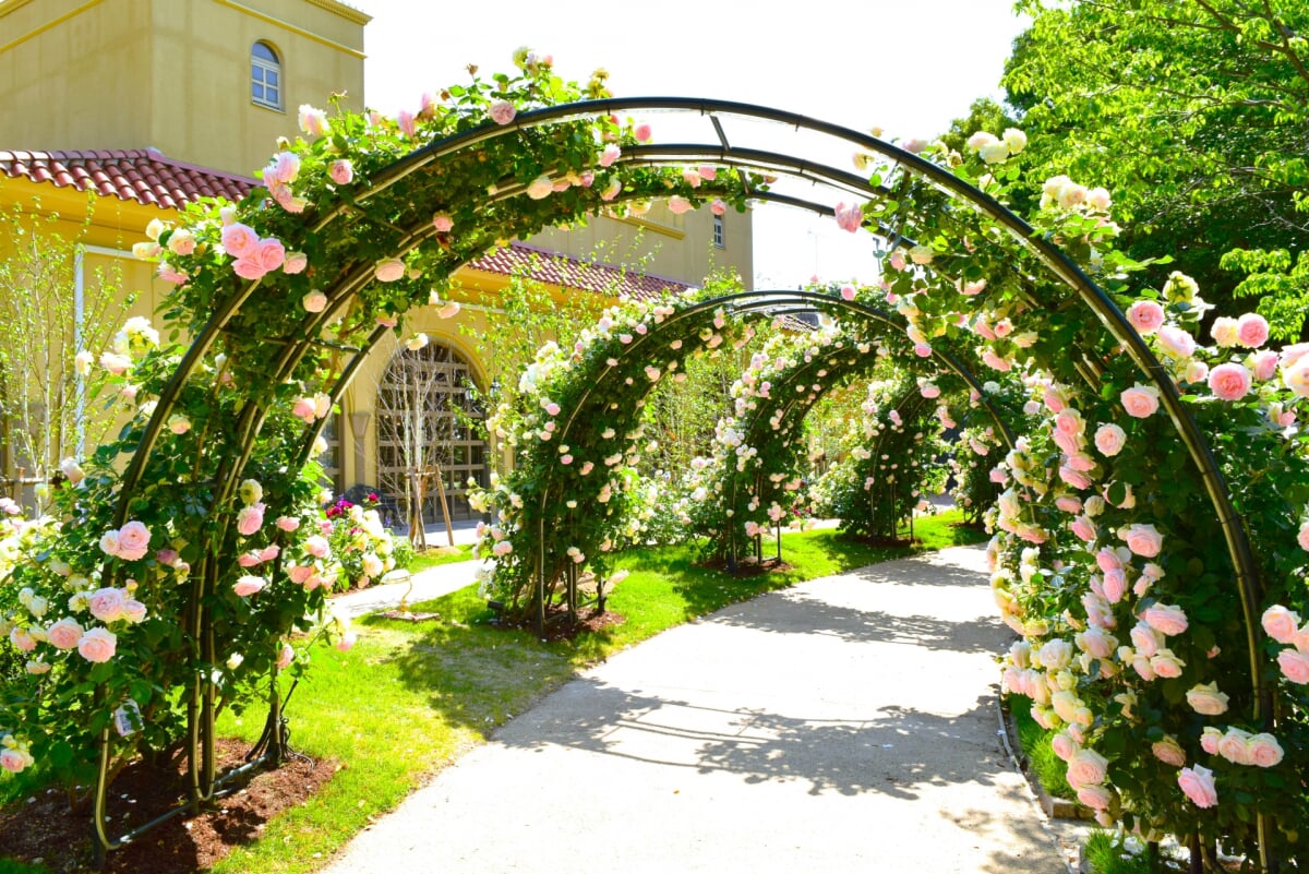 NEWレオマワールドの写真5