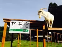 ふれあい動物園ピクニカ共和国