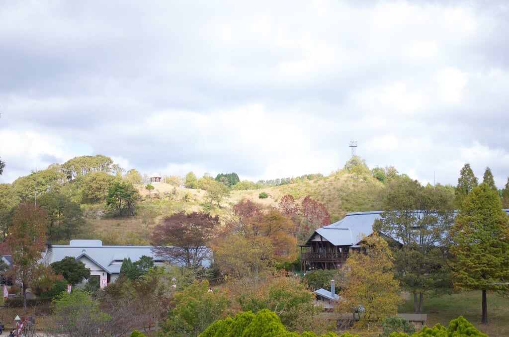 三瀬ルベール牧場 どんぐり村の写真8