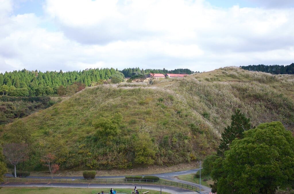 三瀬ルベール牧場 どんぐり村の写真16