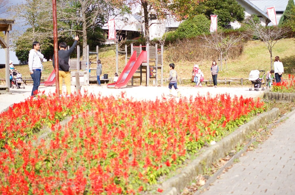 三瀬ルベール牧場 どんぐり村の写真18