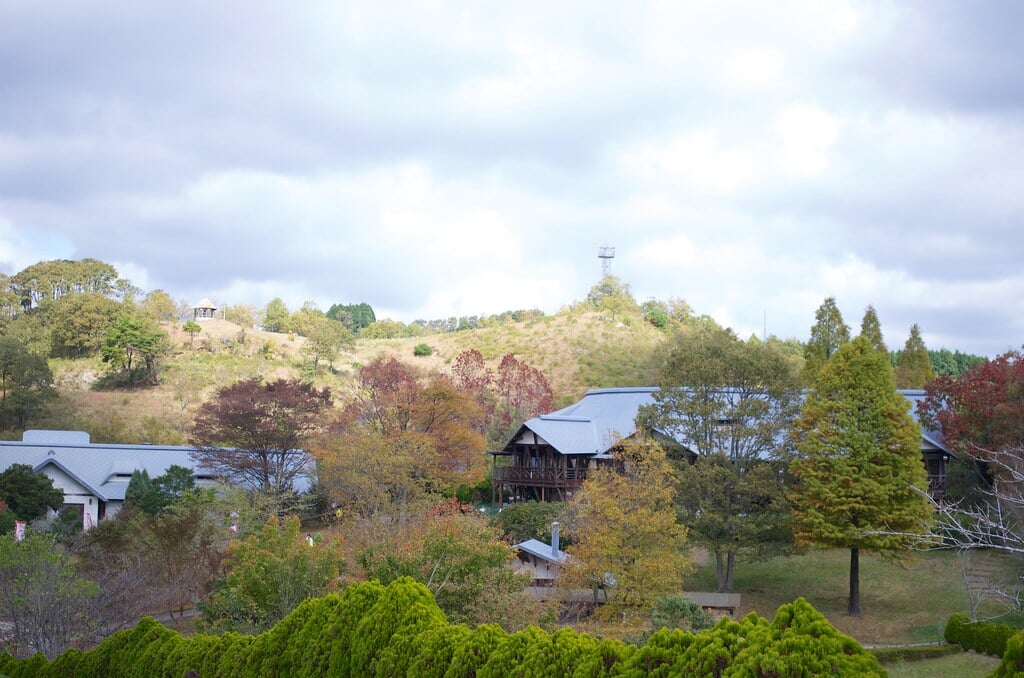 三瀬ルベール牧場 どんぐり村の写真21