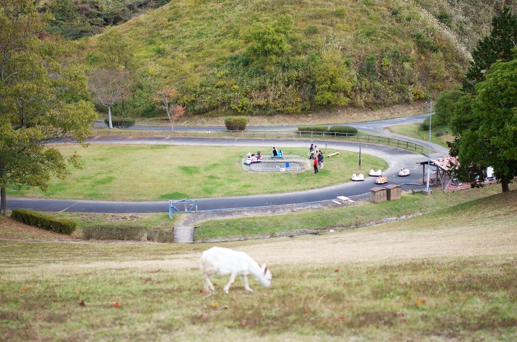 三瀬ルベール牧場 どんぐり村の写真23