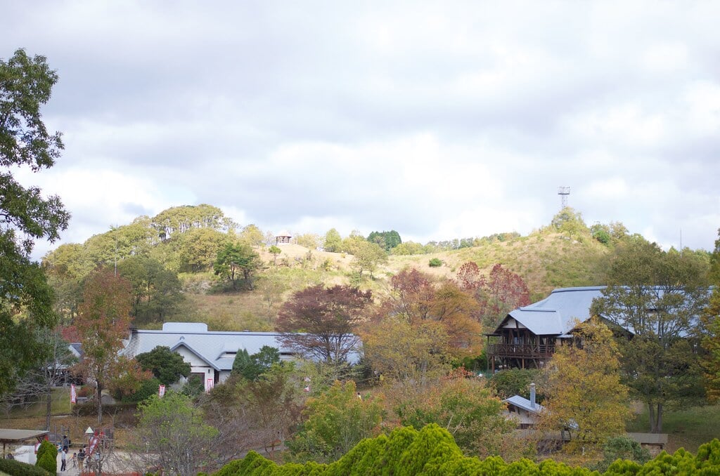 三瀬ルベール牧場 どんぐり村の写真24