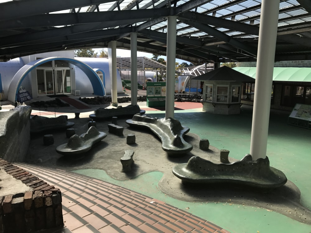 阿蘇ファームランド 元気の森の写真2