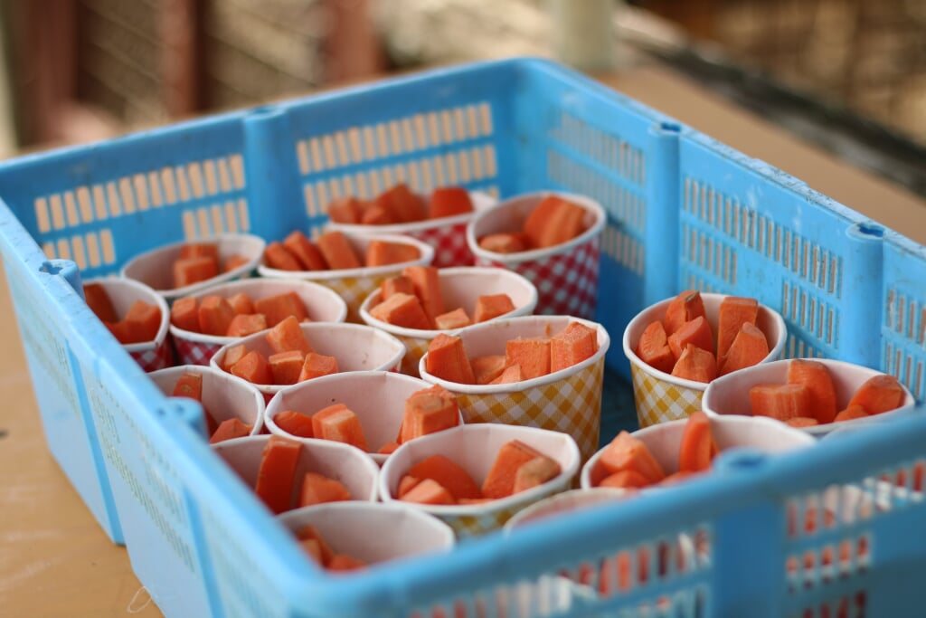 らくのうマザーズ阿蘇ミルク牧場の写真2