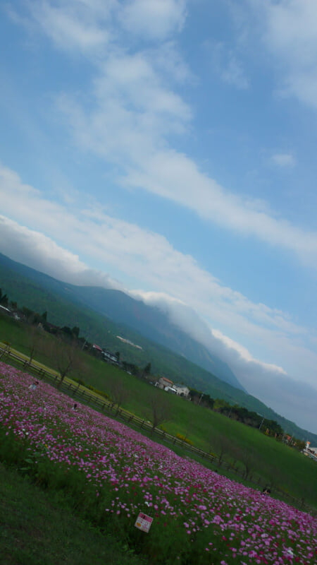 高千穂牧場の写真3