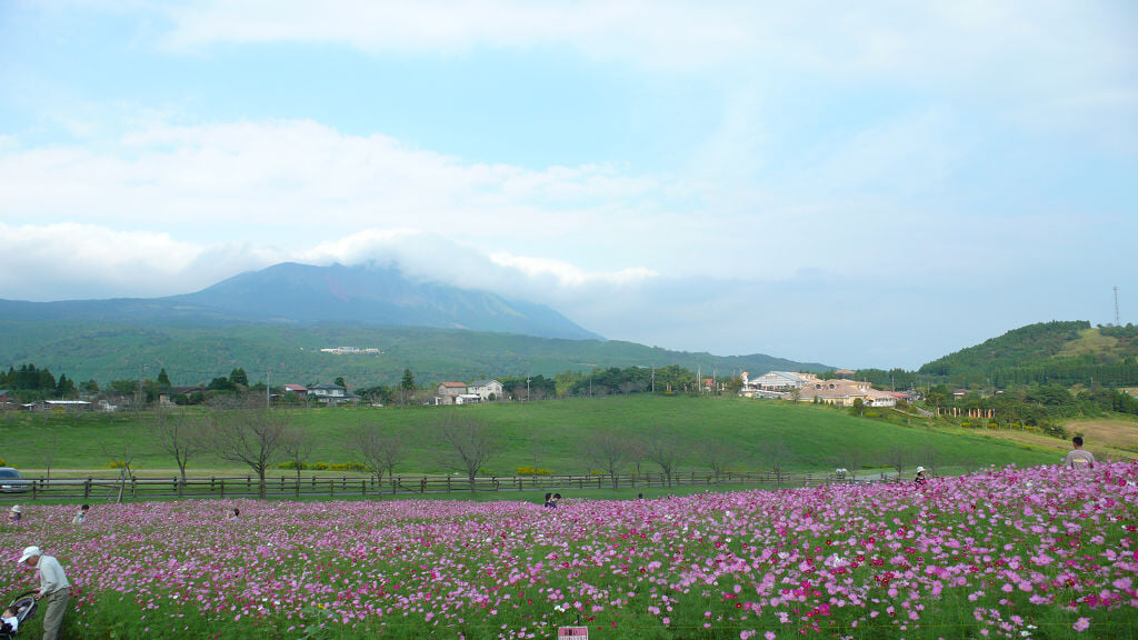 高千穂牧場の写真5