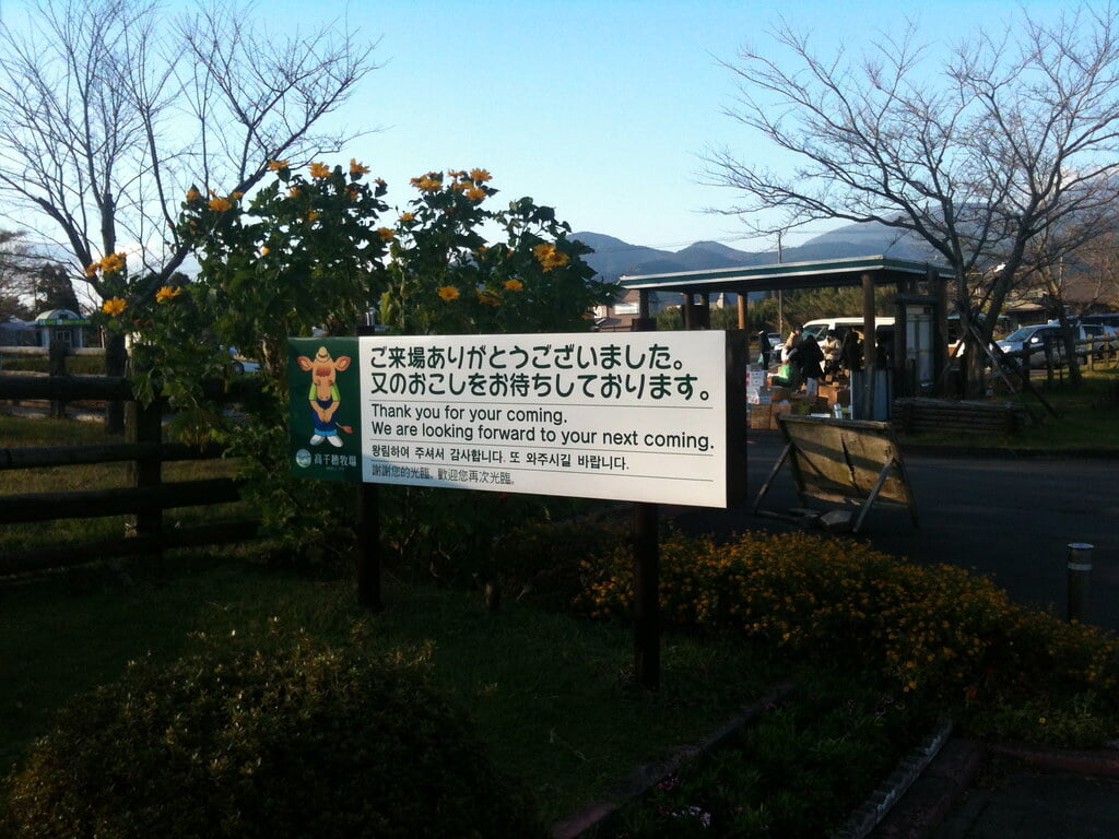 高千穂牧場の写真7