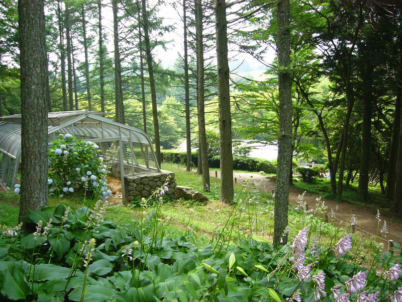 六甲高山植物園の写真3
