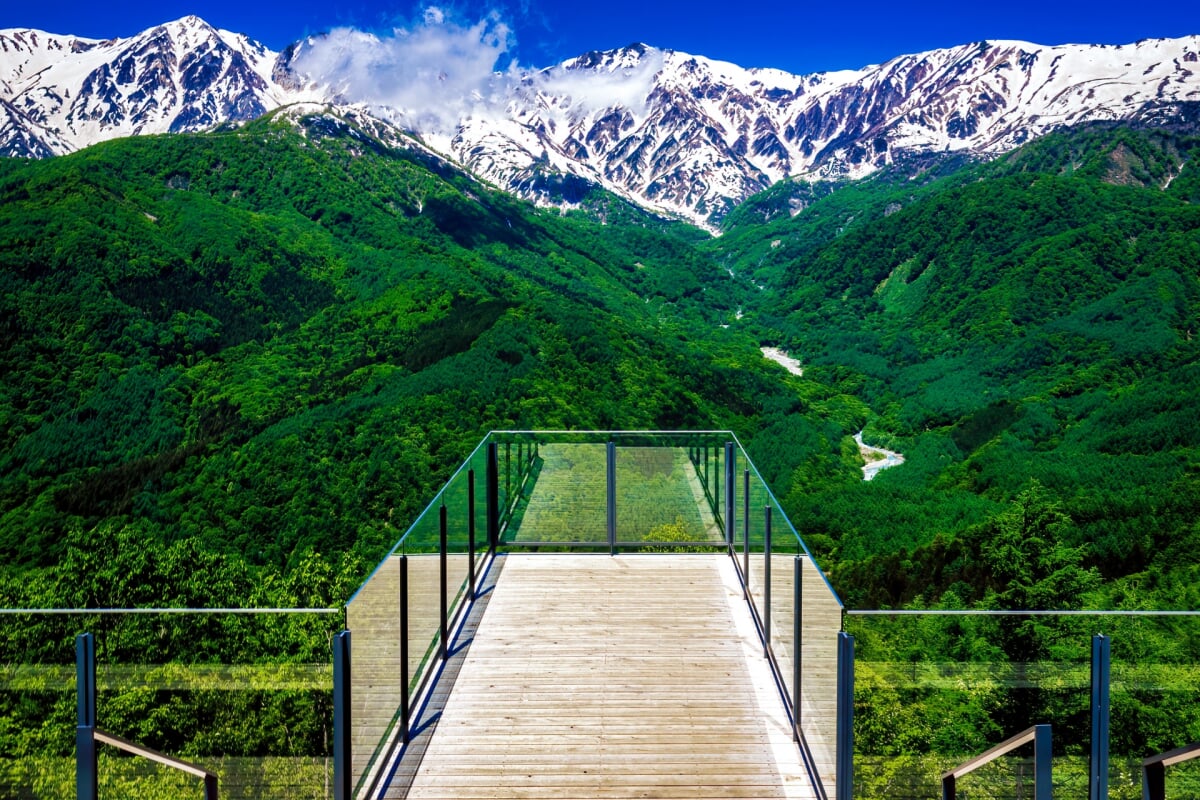 白馬岩岳マウンテン リゾートの写真1