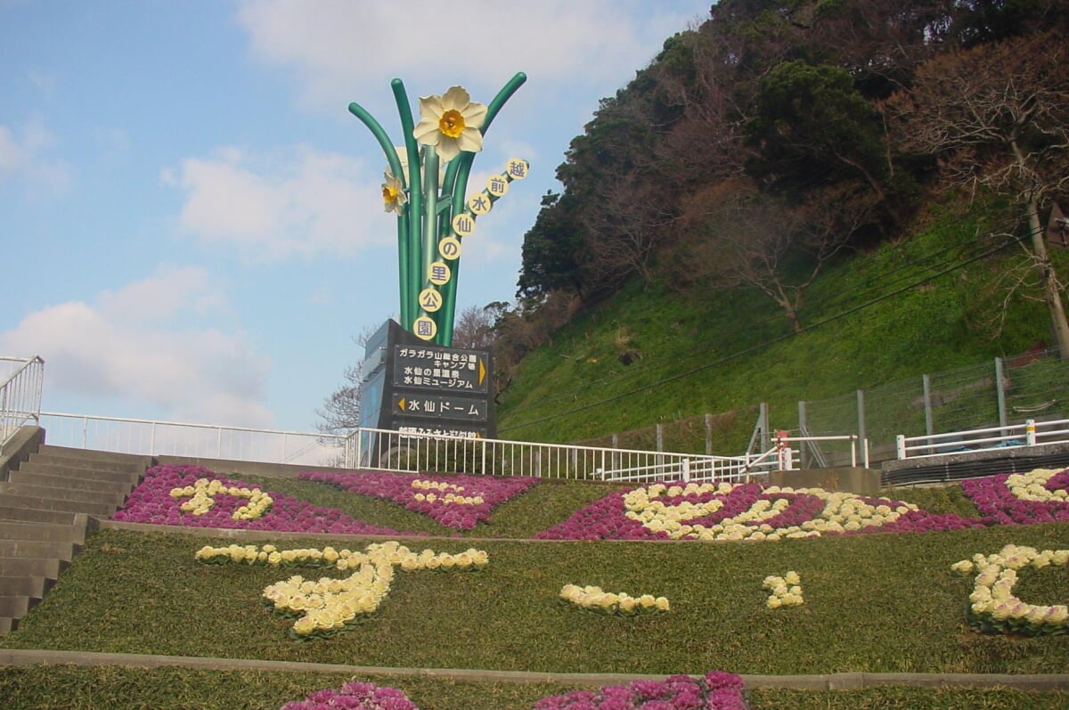 越前水仙の里公園・水仙ドームの写真2